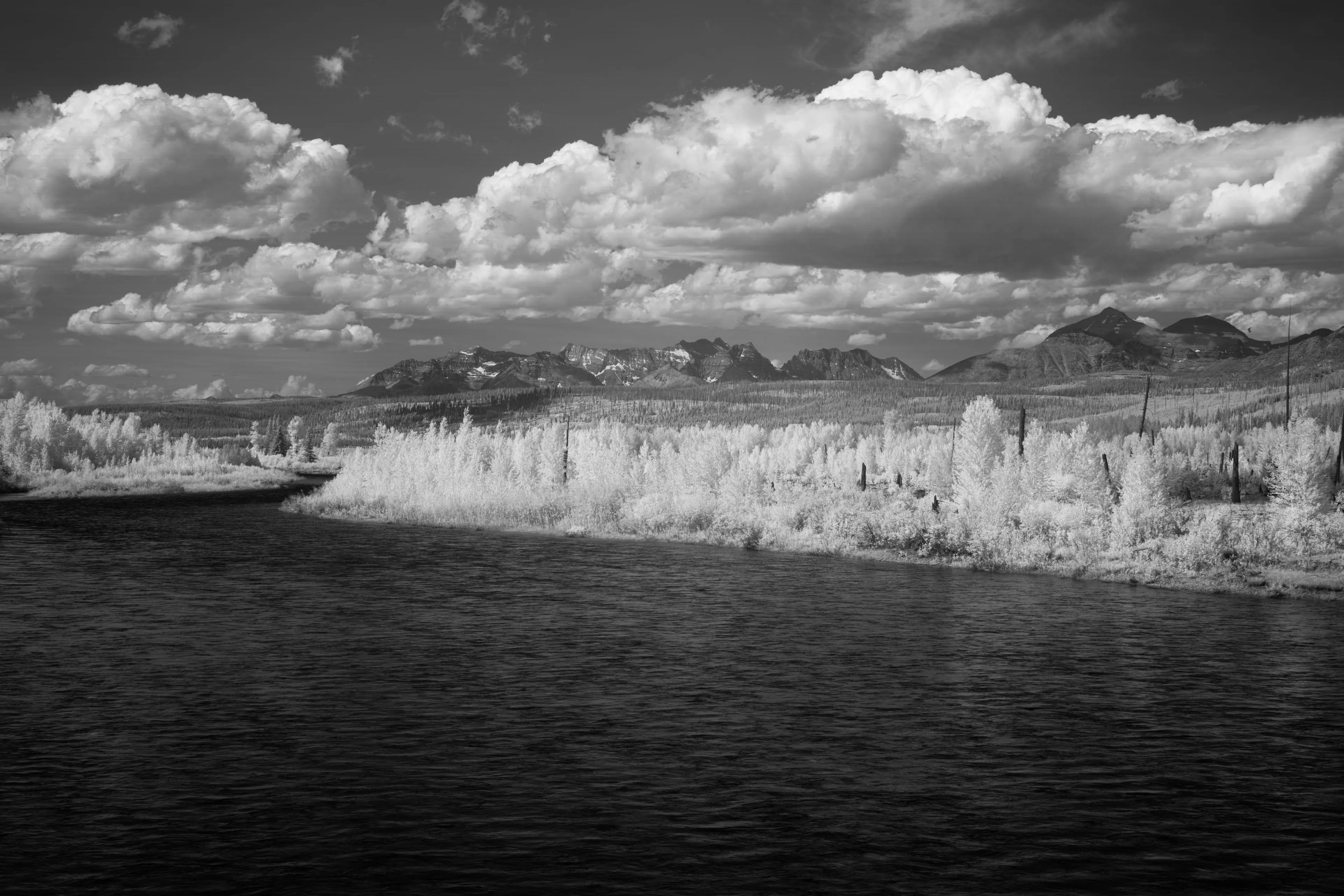 A black-and-white infrared scene of a dark river below banks of pale glowing foliage, with distant mountains and towering cumulus clouds.