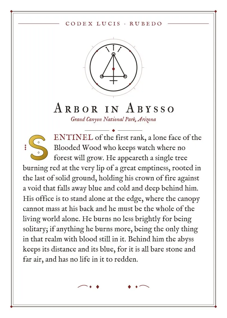 The colophon for Arbor in Abysso — its Codex Lucis entry, printed on fine-art card