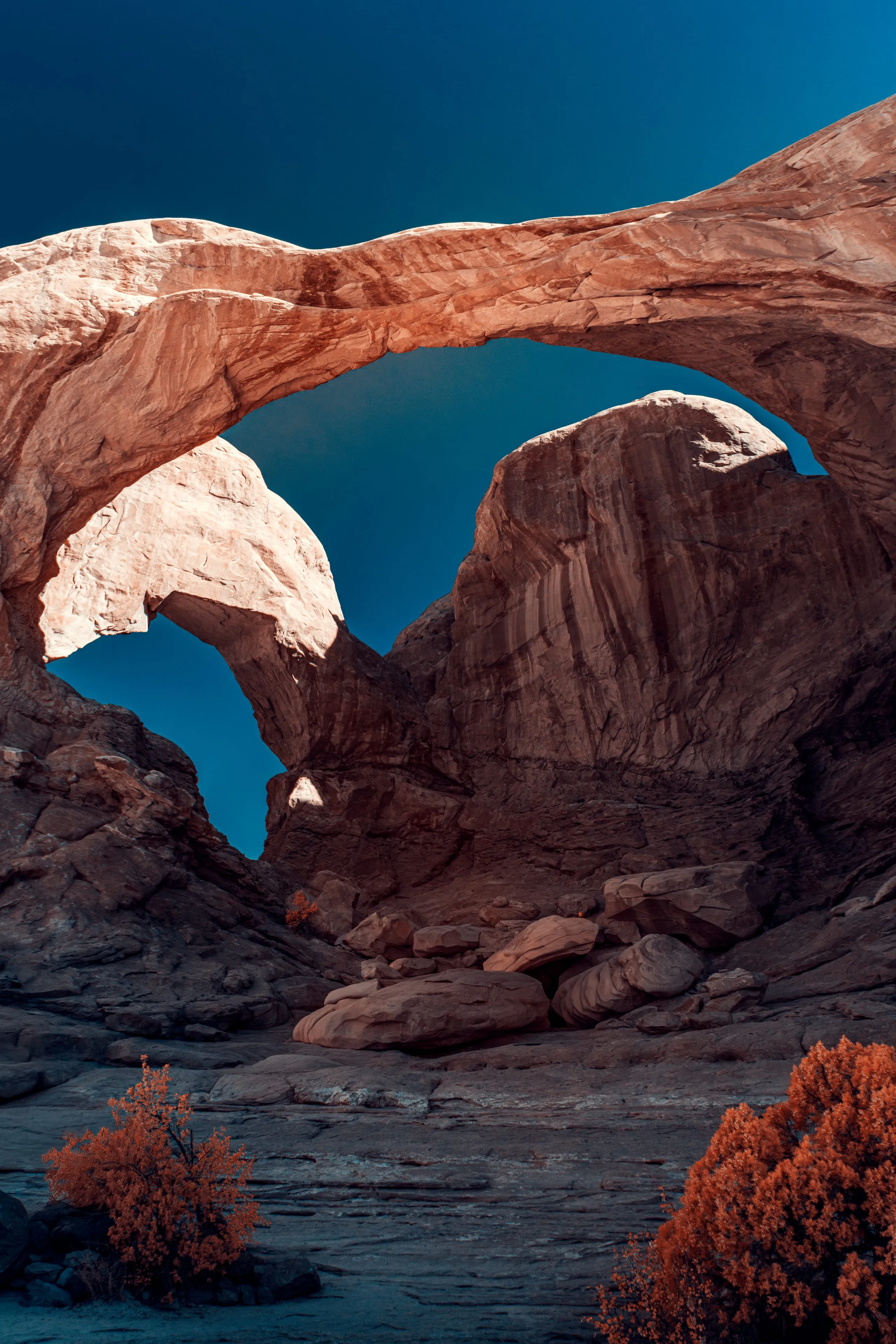 Double Arch in Arches National Park, Utah — two huge sandstone spans rising from one base over a rocky bowl, seen from below against a teal sky, the rock and junipers turned amber-gold by infrared.