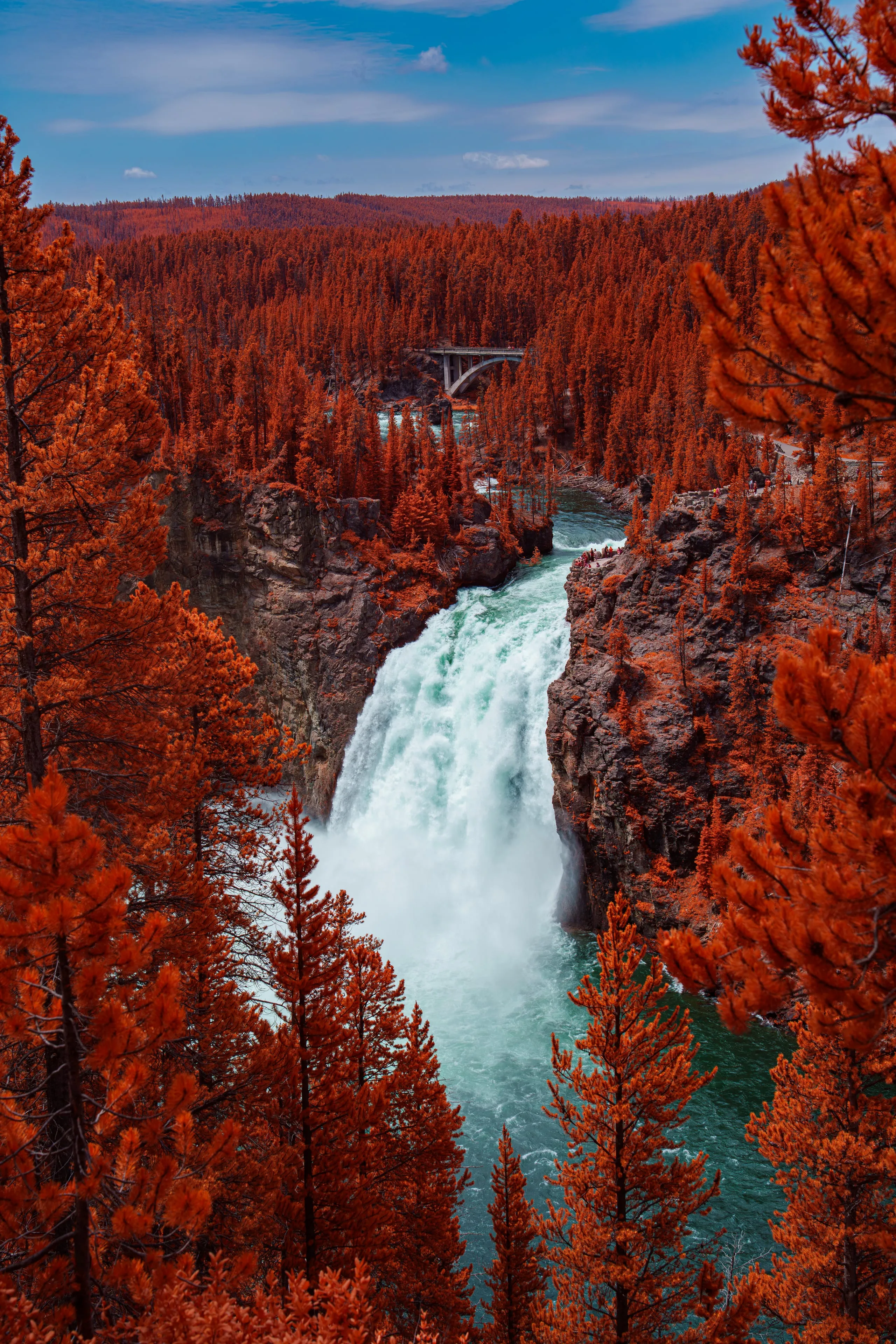 A powerful white waterfall plunges into a turquoise river through a gorge of infrared-reddened conifers under a blue sky.