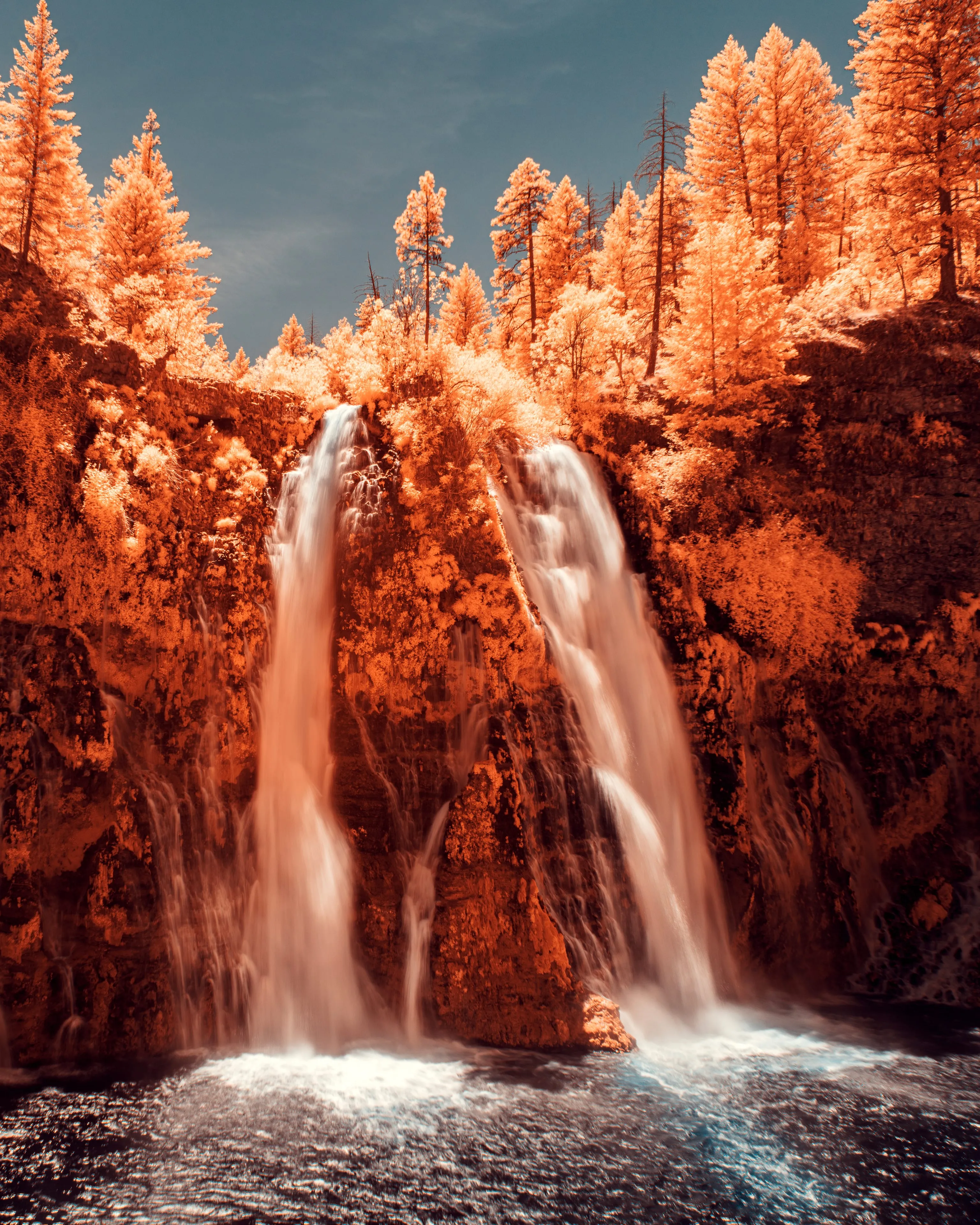 Twin waterfalls pour over a mossy cliff streaked with spring seeps, framed by trees turned white-gold by infrared.