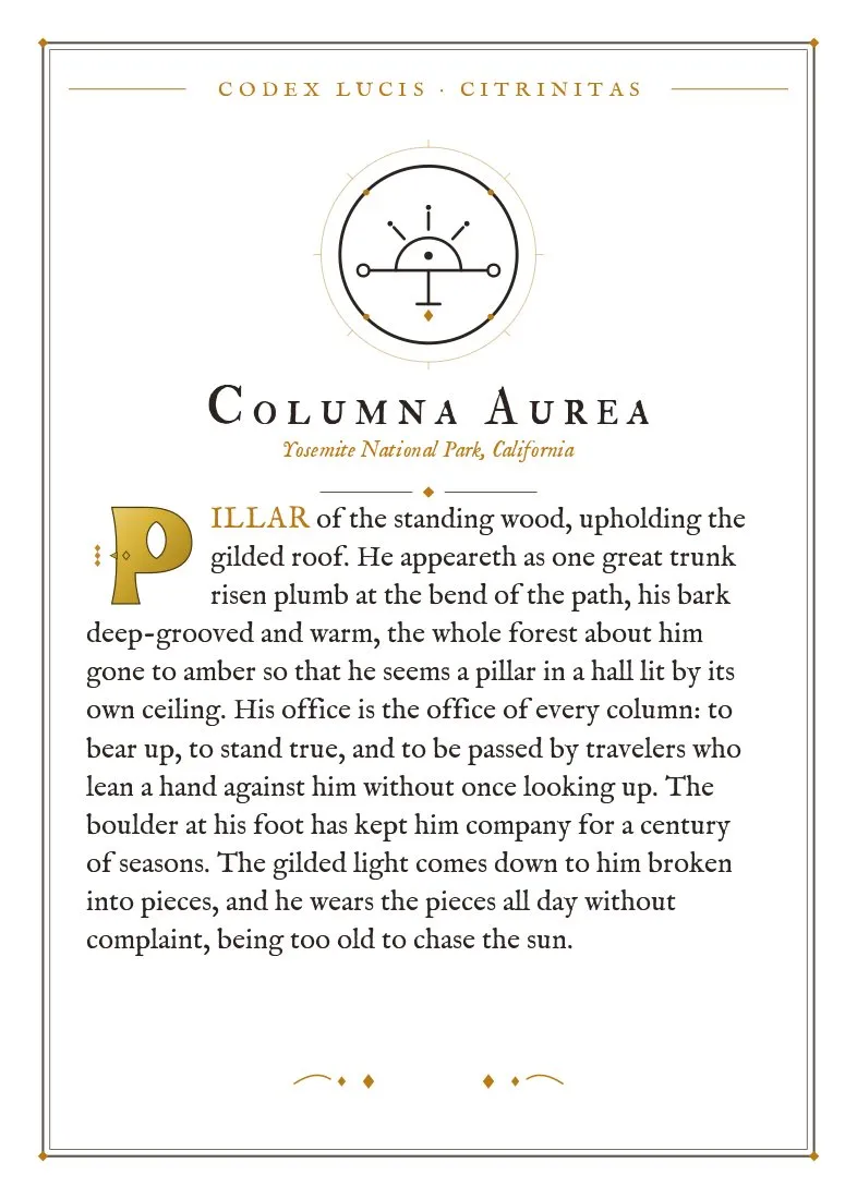 The colophon for Columna Aurea — its Codex Lucis entry, printed on fine-art card