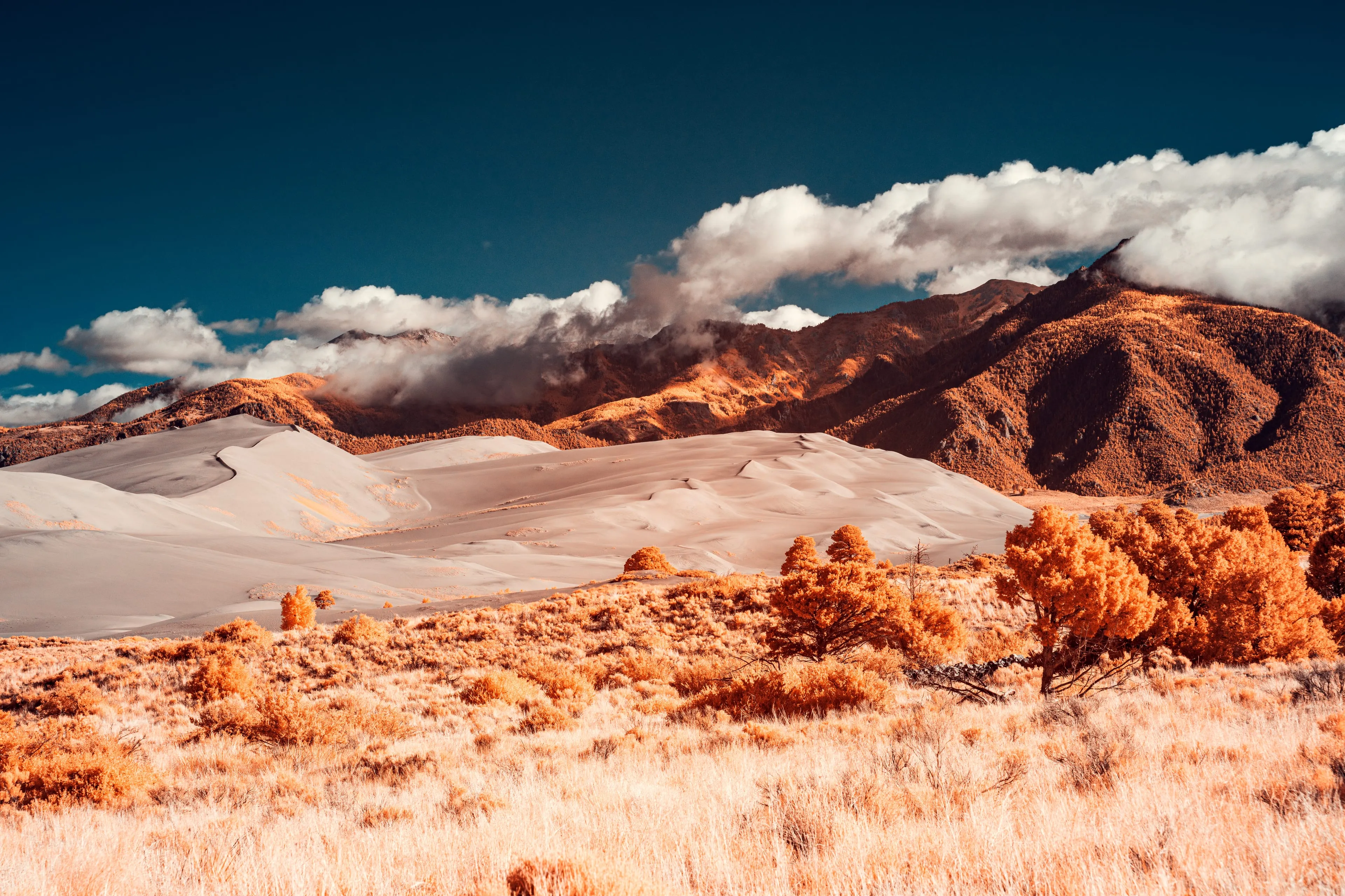 Pale dunes meet rust-brown mountains at Great Sand Dunes, with golden infrared grass and shrubs under a deep blue sky.