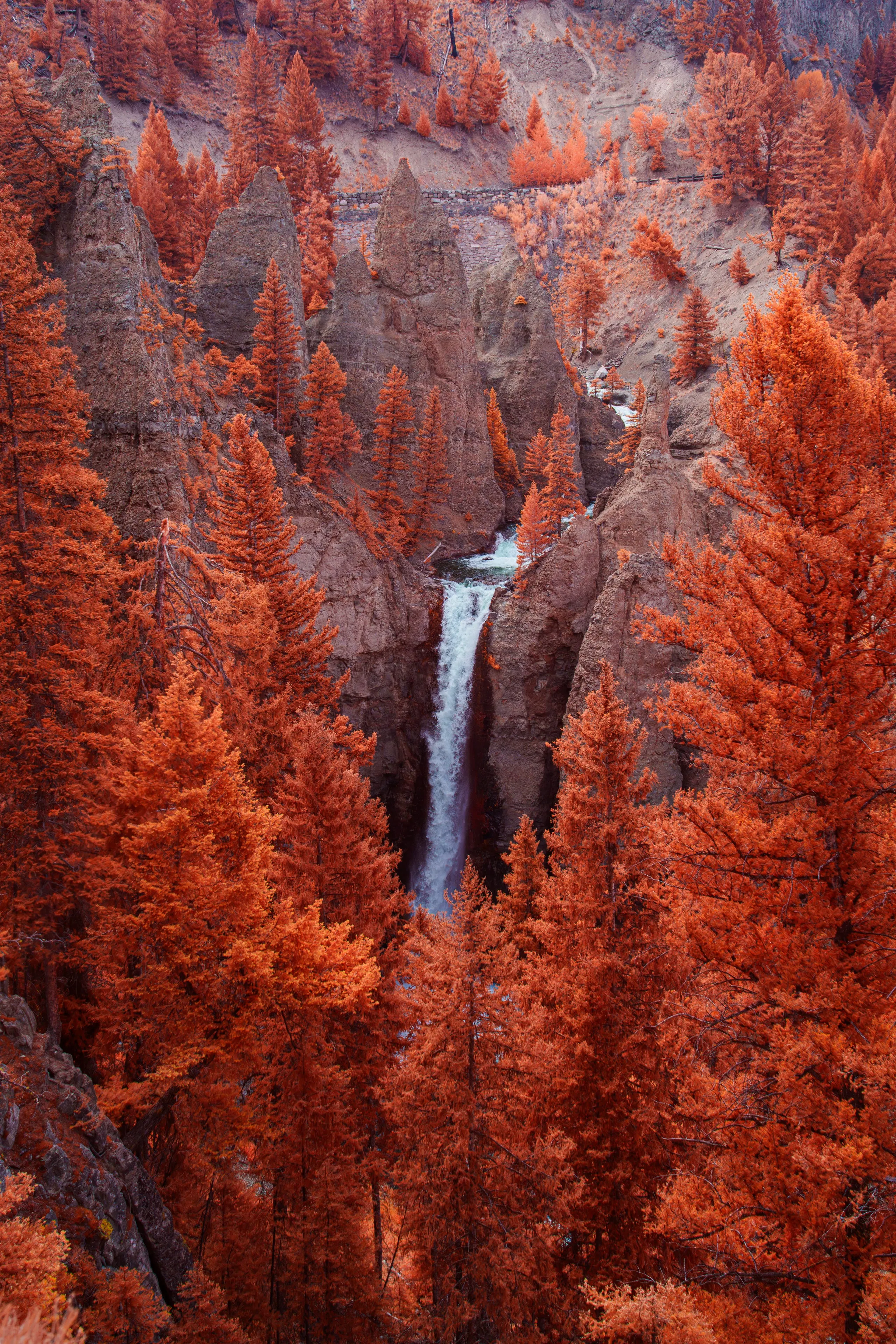 A slender waterfall descends among dark rock pinnacles in a gorge crowded with conifers turned deep blood-red by infrared.