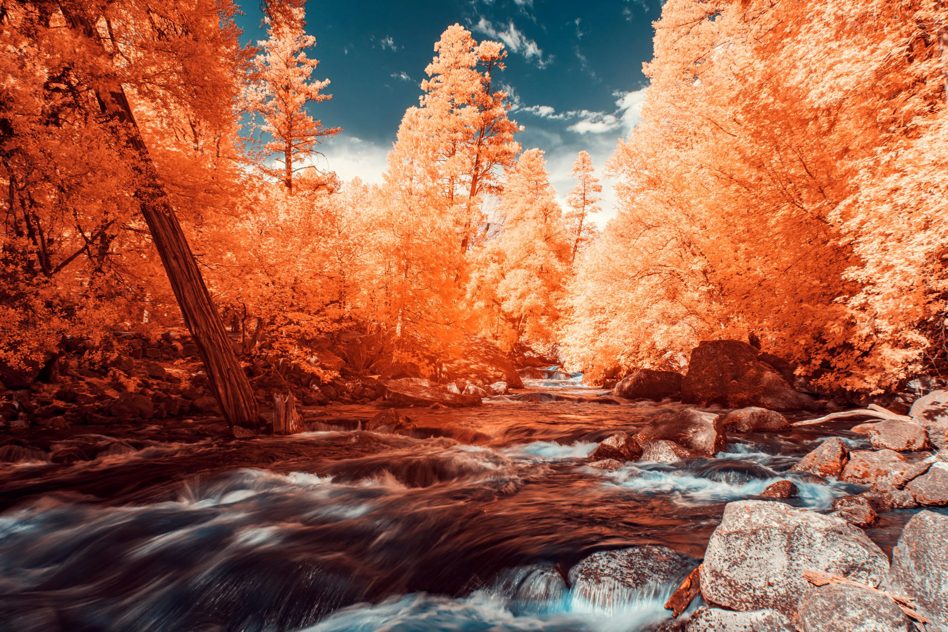 A swollen river pours milky white shot with turquoise — an infrared artifact in the water — over pale granite boulders, with conifers turned amber-gold by infrared lining both banks under a teal sky.