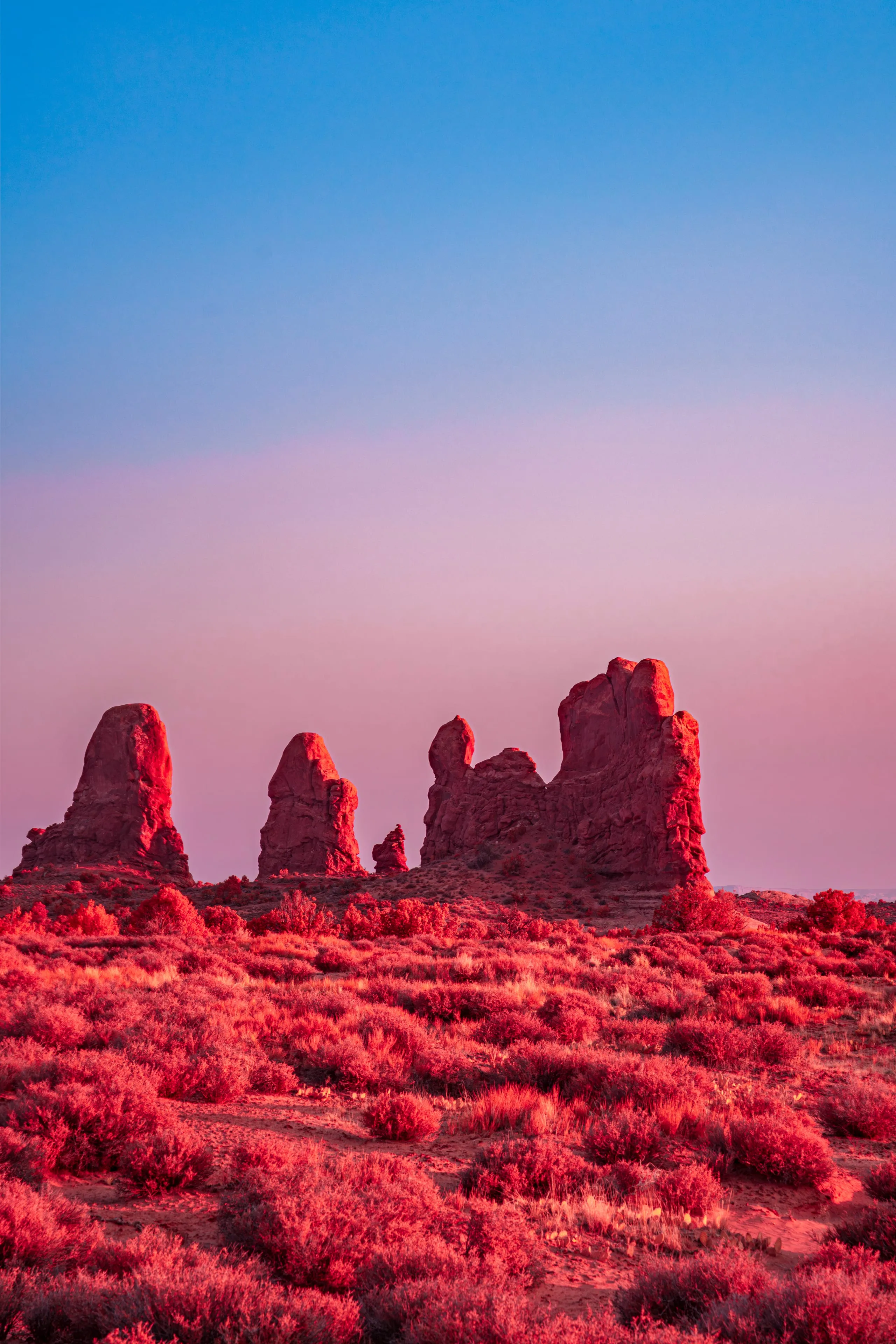 Squat sandstone towers rise from a field of infrared-crimson brush under a dusk sky fading from pink to deep blue at Arches National Park.