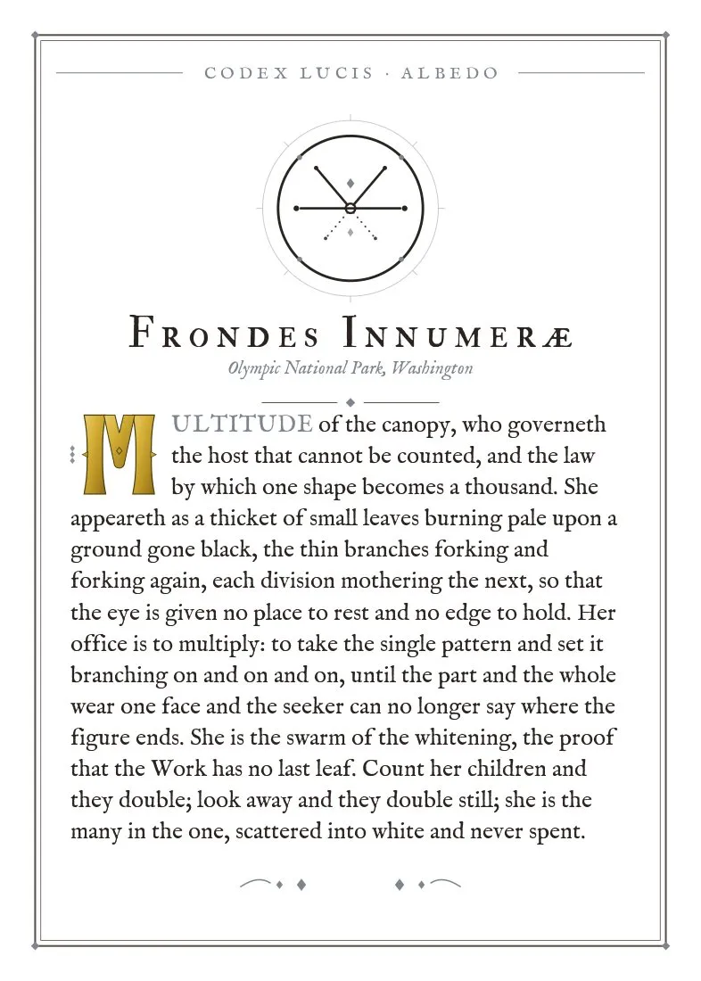 The colophon for Frondes Innumerae — its Codex Lucis entry, printed on fine-art card
