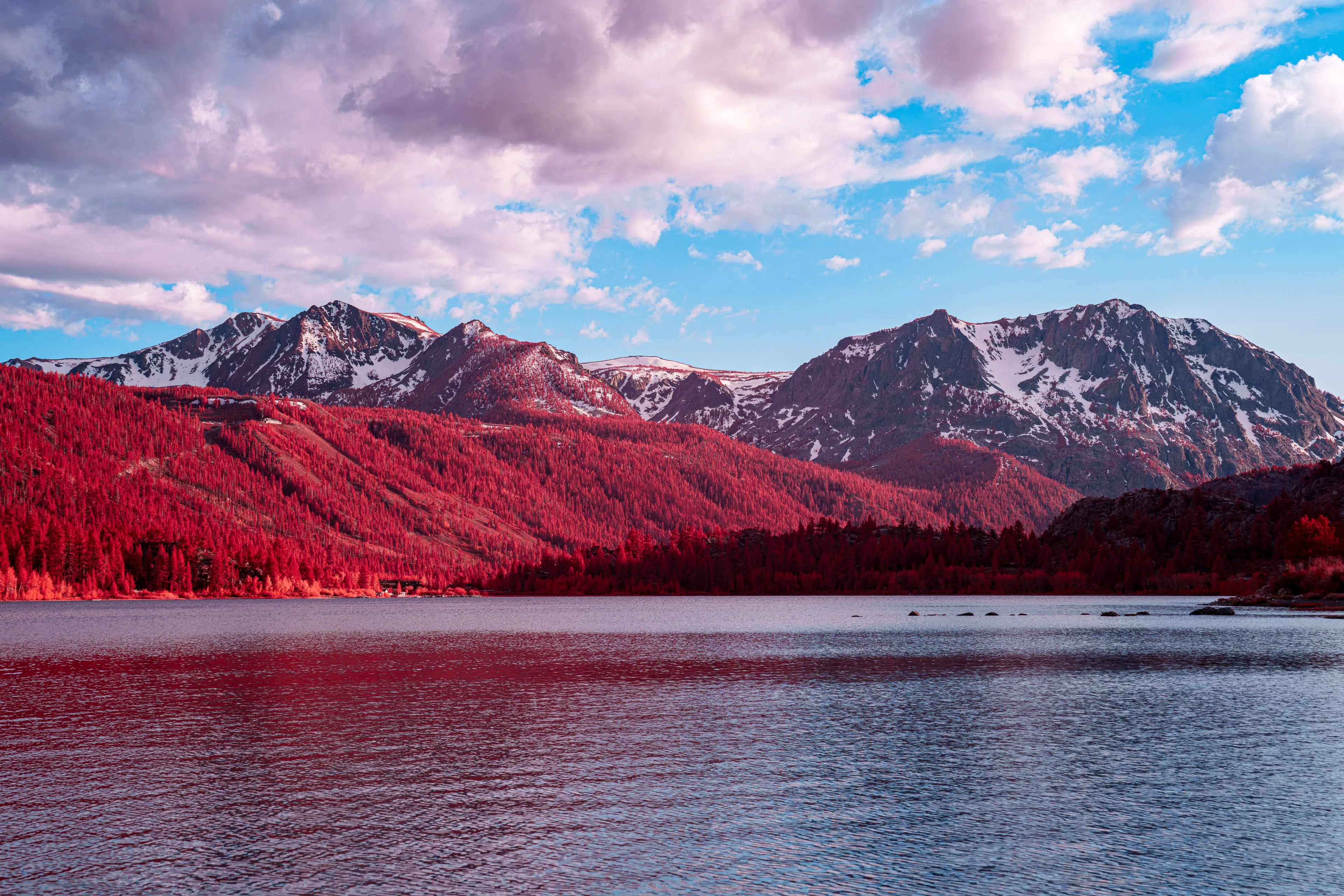 A wind-rippled lake beneath snow-capped peaks, the surrounding forest slopes turned deep red by infrared under banked clouds.