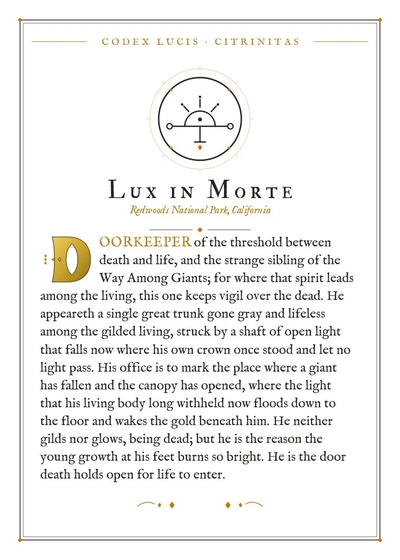 The colophon for Lux in Morte — its Codex Lucis entry, printed on fine-art card