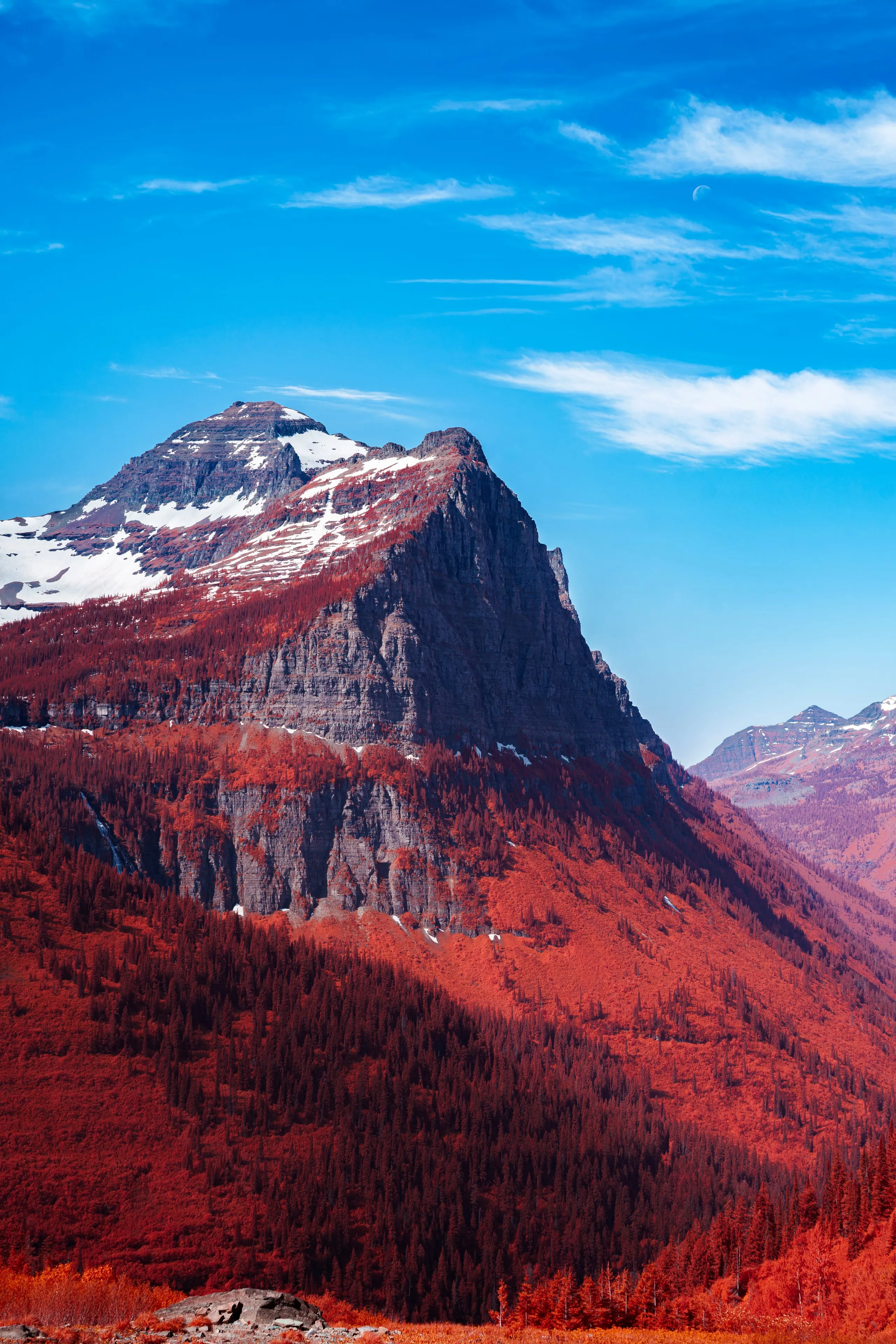 A snow-streaked mountain peak towers over slopes of infrared-crimson forest under a blue sky, a faint moon above.