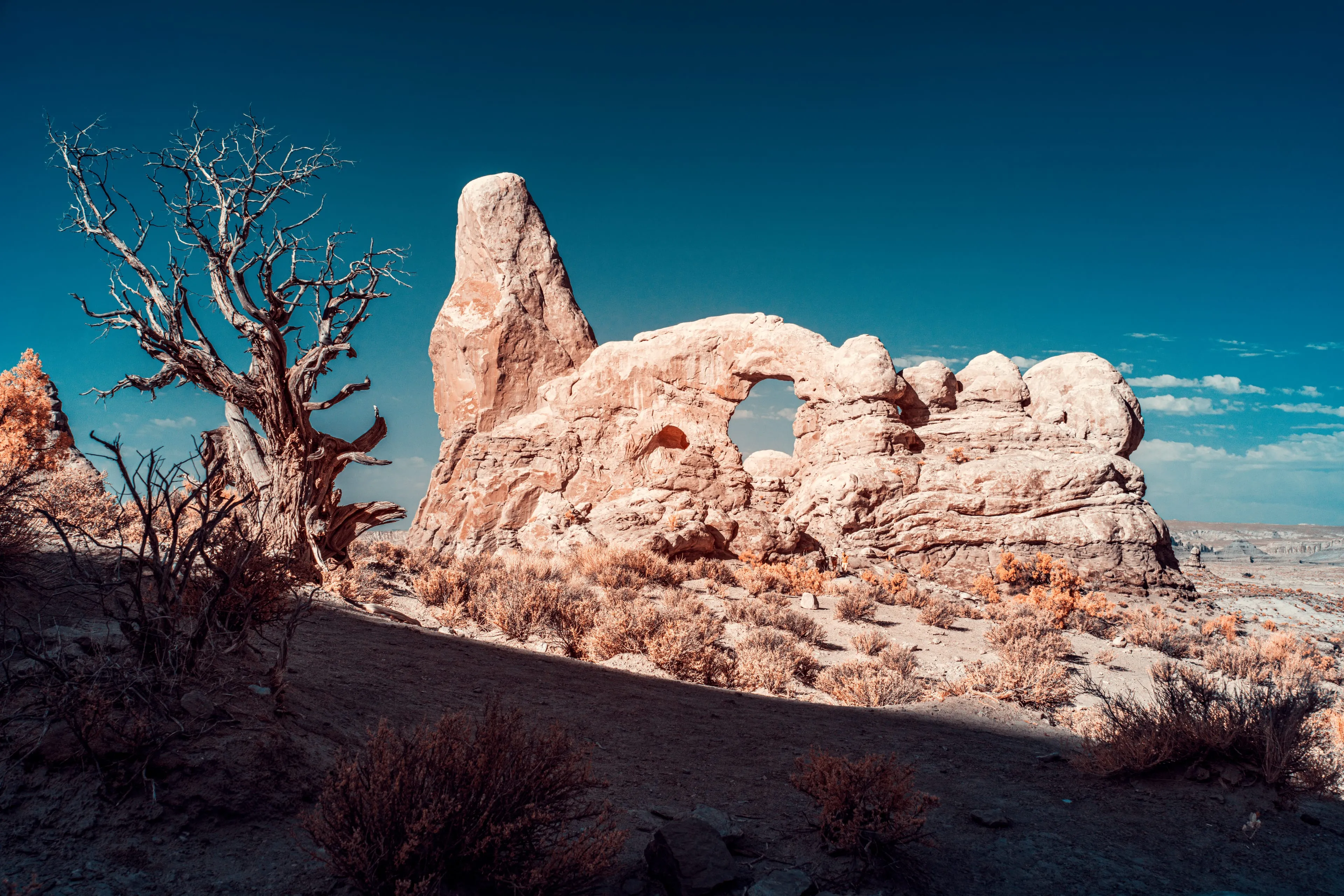 A gnarled dead juniper stands beside Turret Arch's sandstone spire and window in the desert, amid orange infrared brush under a blue sky.