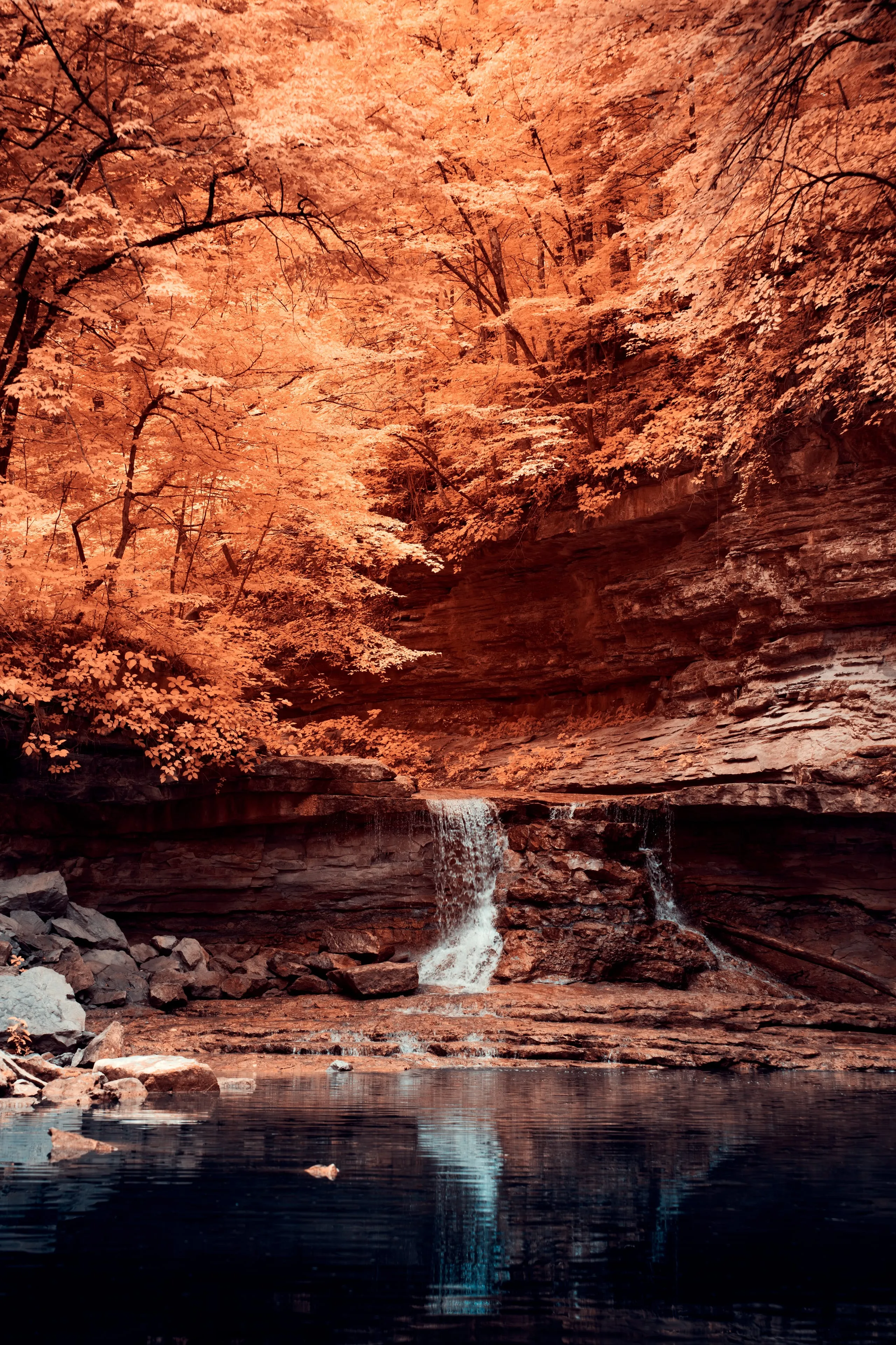 A slender waterfall slips into a dark pool beneath a rock overhang draped in golden infrared foliage.