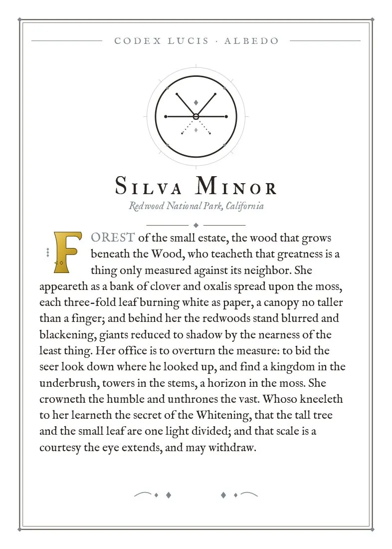 The colophon for Silva Minor — its Codex Lucis entry, printed on fine-art card
