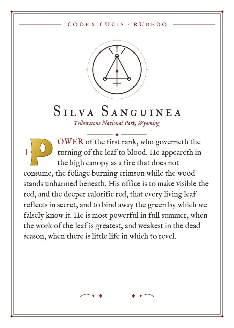 The colophon for Silva Sanguinea — its Codex Lucis entry, printed on fine-art card
