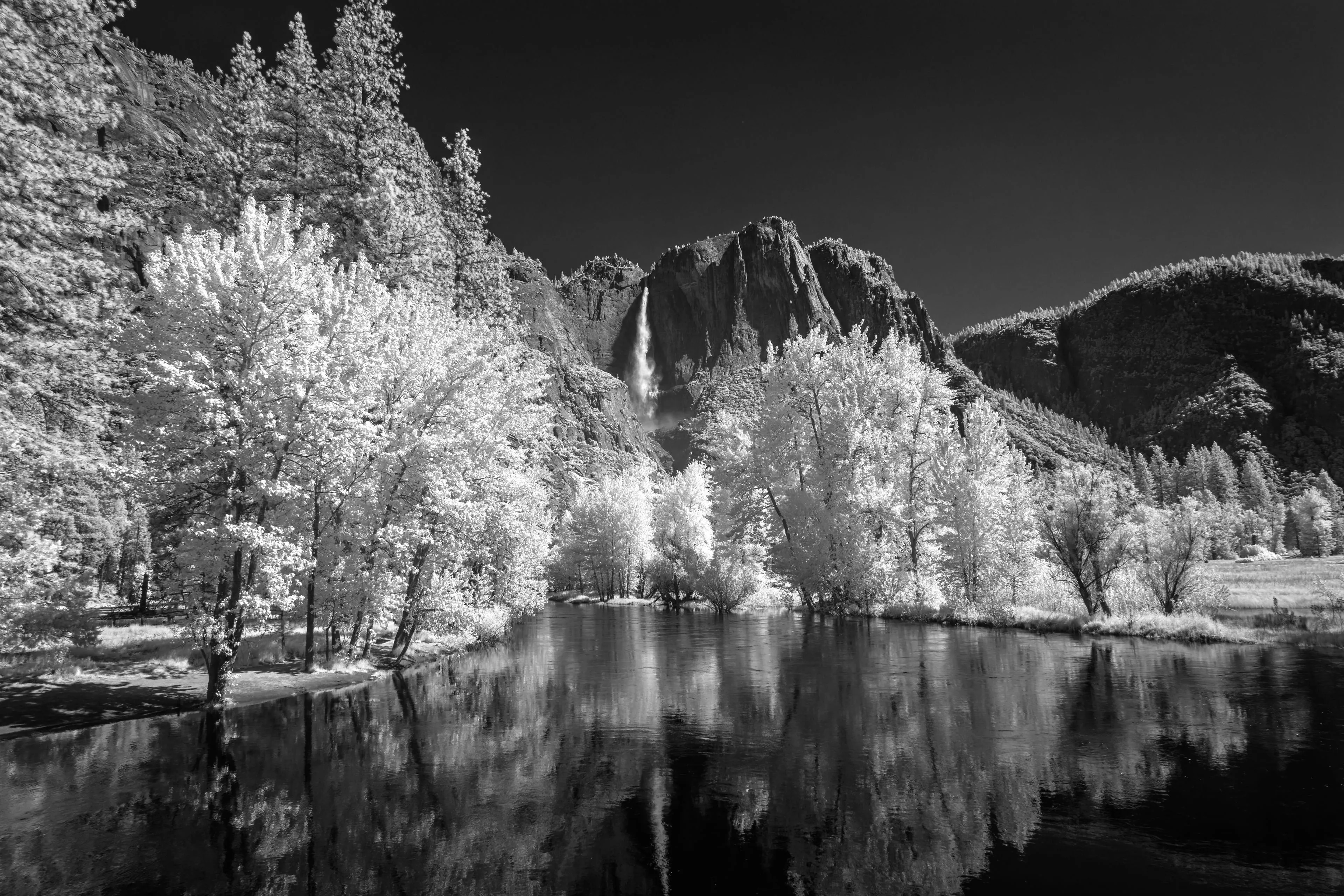 Yosemite Falls and white infrared trees mirror in the dark still water of the Merced River beneath a near-black sky.
