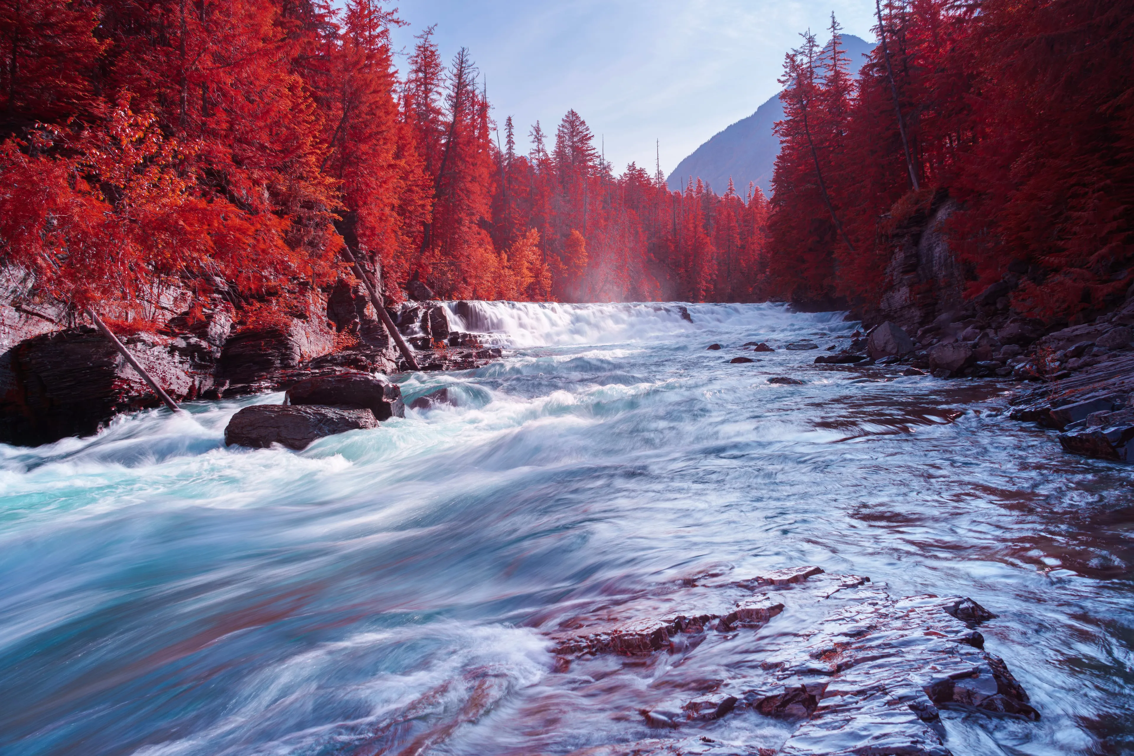 Infrared rendering of a broad long-exposure river churning white over stone toward a misted falls, ranked on both banks by glowing red forest beneath a dark mountain in Glacier National Park.