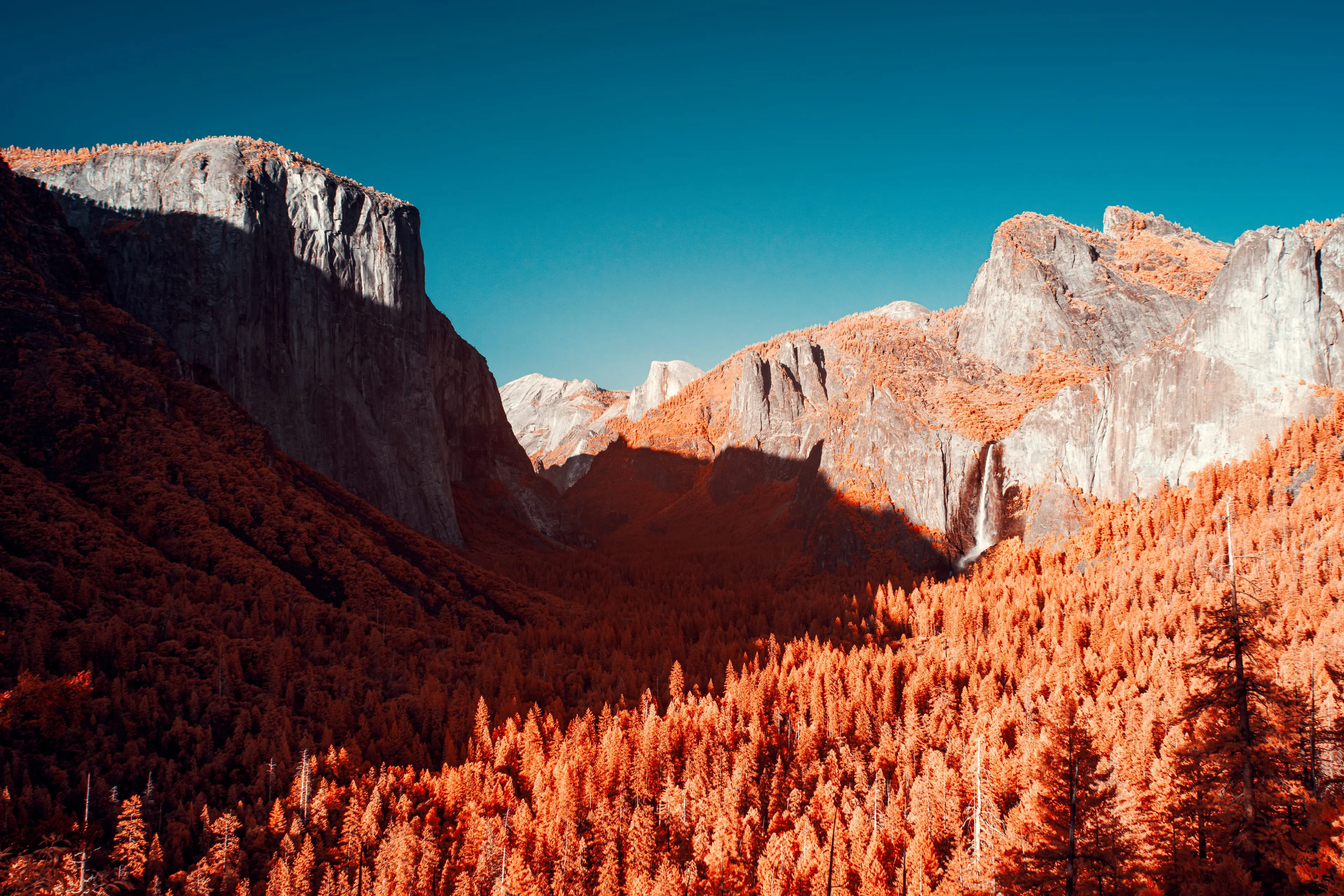 The wide gateway view into Yosemite Valley, El Capitan at left and Bridalveil's thin fall at right, the forested slopes turned amber-gold by infrared under a deep teal sky.