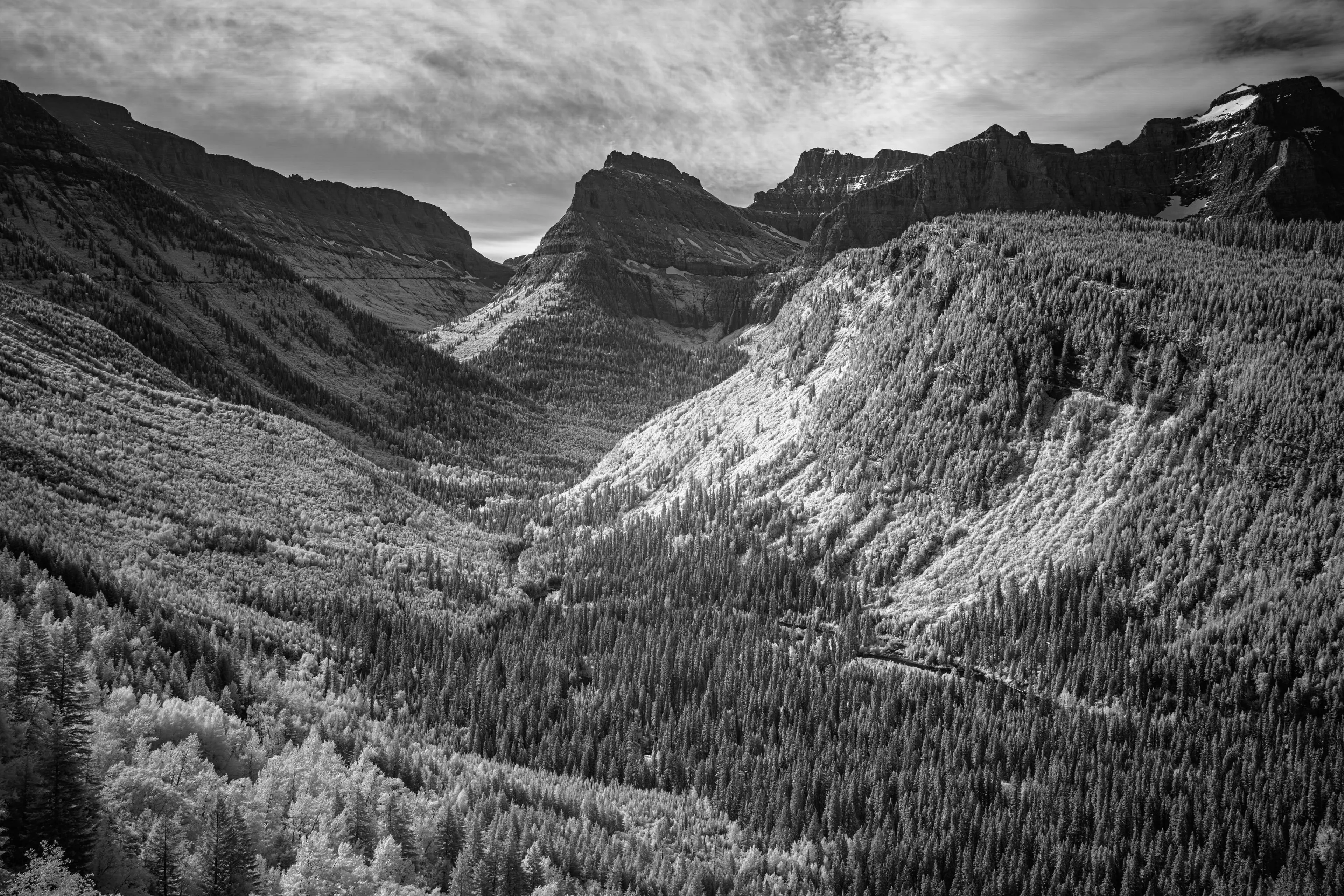 Infrared rendering of a glacial valley in Glacier National Park, the forested slopes glowing pale while the guardian peaks and the sky above darken.