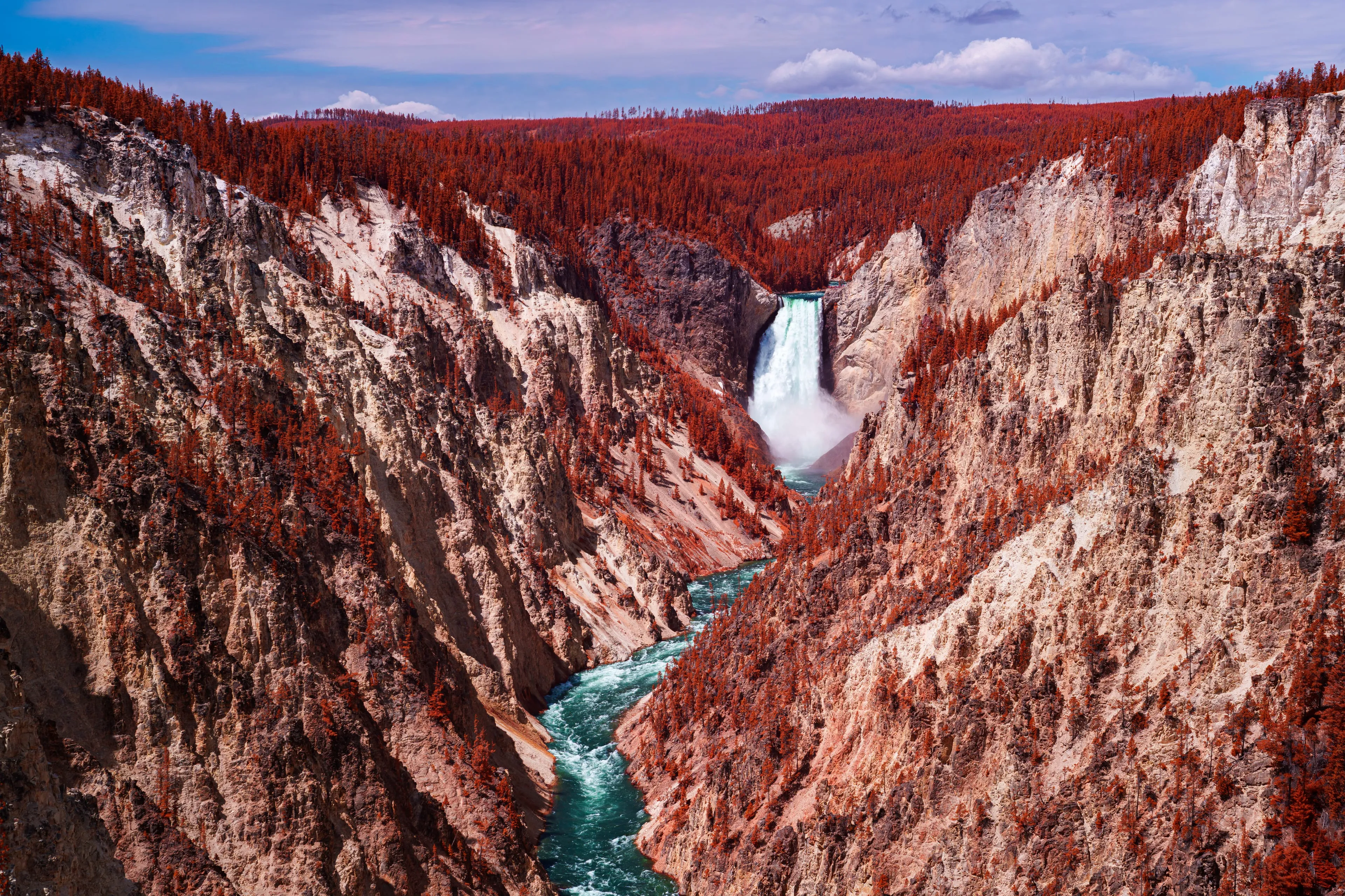 From a high rim, a white waterfall feeds a jade river winding through a deep canyon of rose and gold stone, the forest along both rims turned red by infrared.