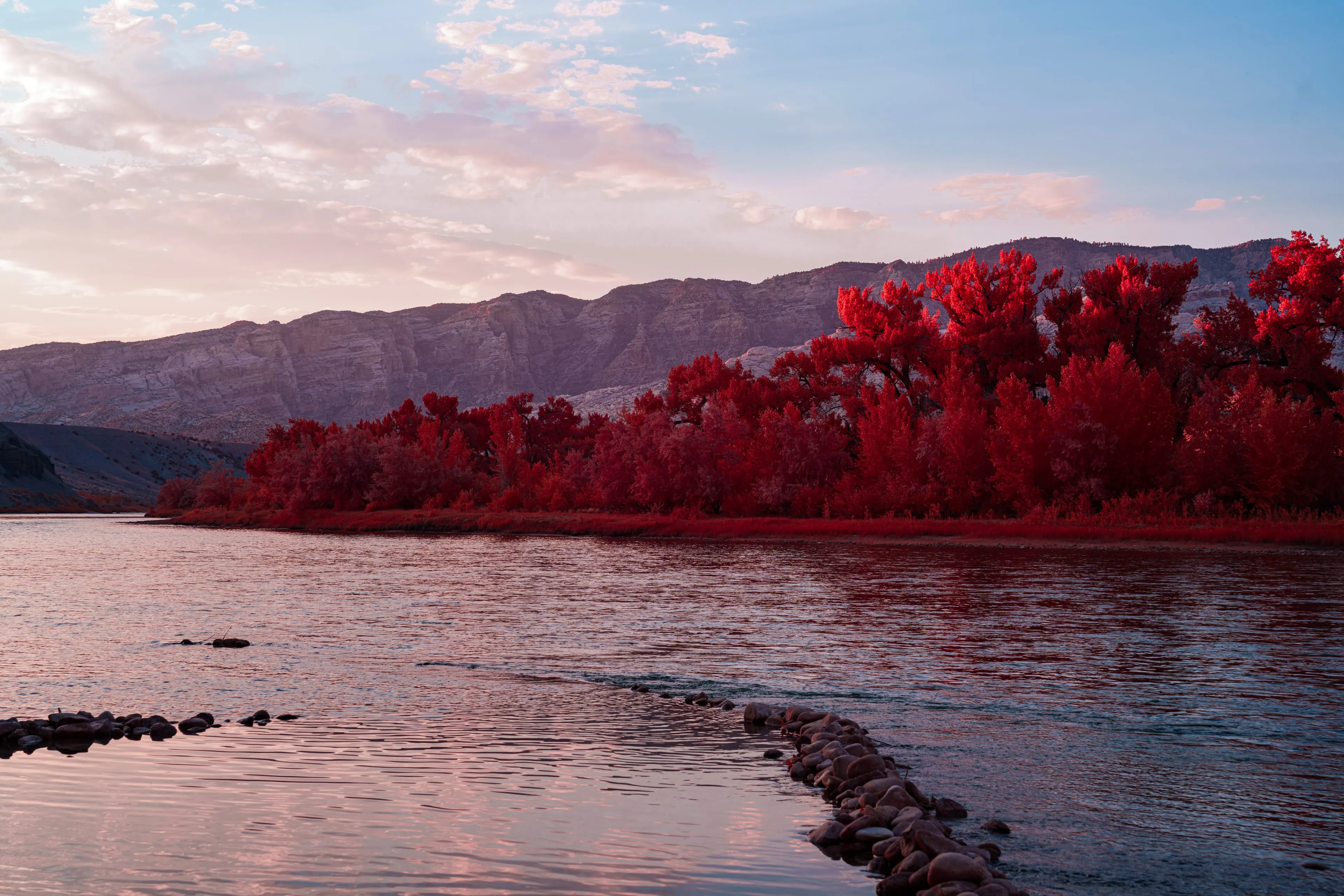Cottonwoods turned deep red by infrared line a quiet river at dusk beneath a pastel sky and a long desert ridge.