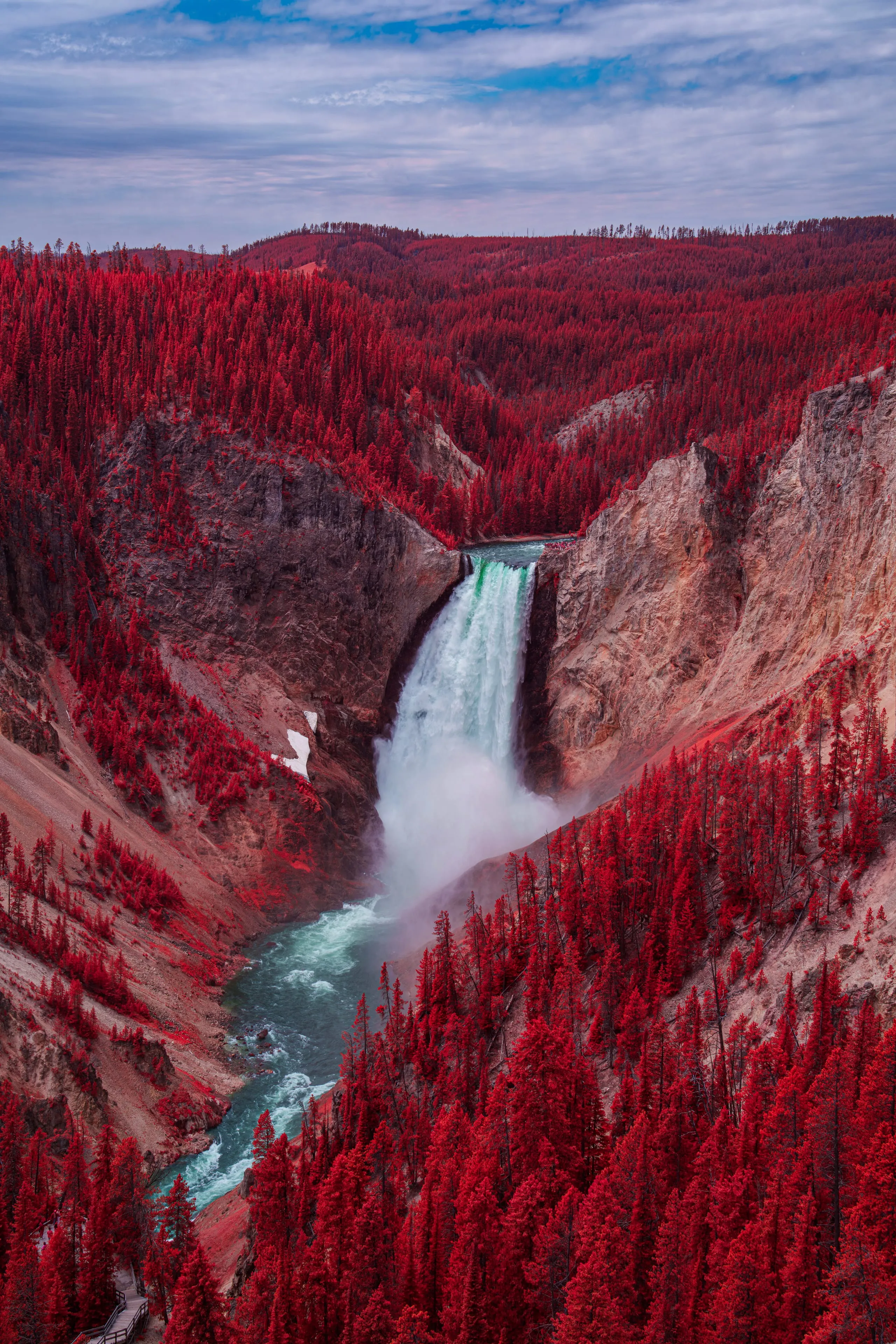 Seen from the canyon rim, a white waterfall plunges into a gorge of conifers turned red by infrared, a jade river winding away below.